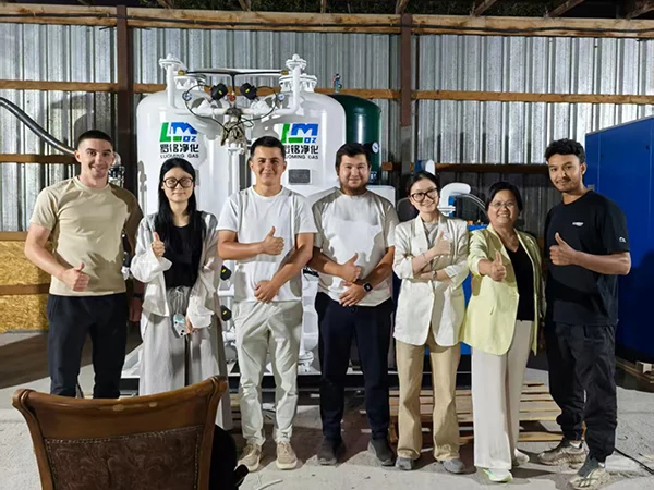 PSA Nitrogen Generation System for an Electronics Manufacturer in Israel