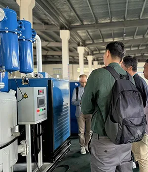 Food Grade High Purity Nitrogen System for a Food Manufacturer in Russia