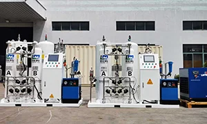 Custom Medical Oxygen Generation System