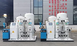 Custom Medical Oxygen Generation System