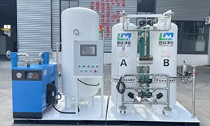 Custom Medical Oxygen Generation System