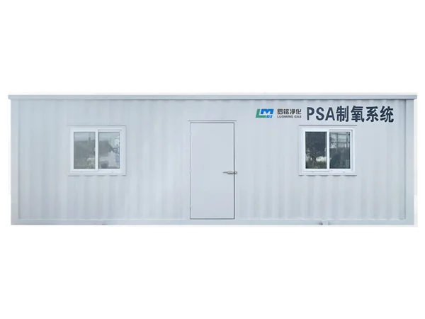 Custom Industrial Oxygen Generation System